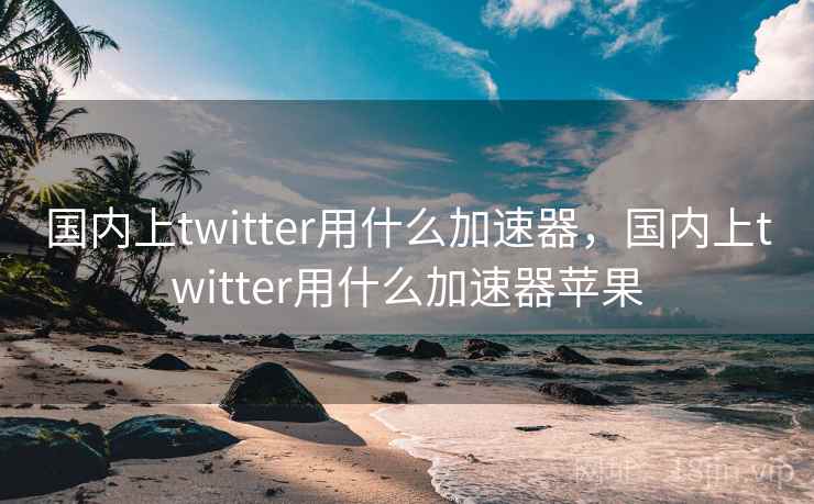 国内上twitter用什么加速器，国内上twitter用什么加速器苹果