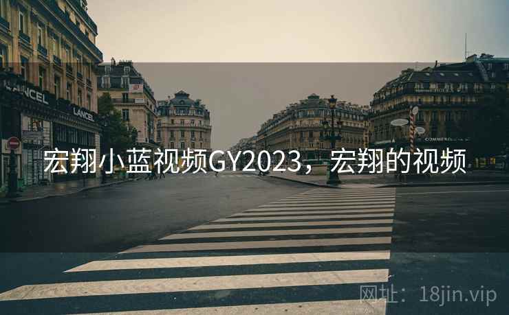 宏翔小蓝视频GY2023，宏翔的视频