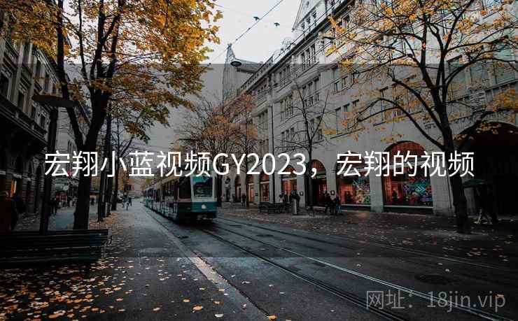 宏翔小蓝视频GY2023，宏翔的视频