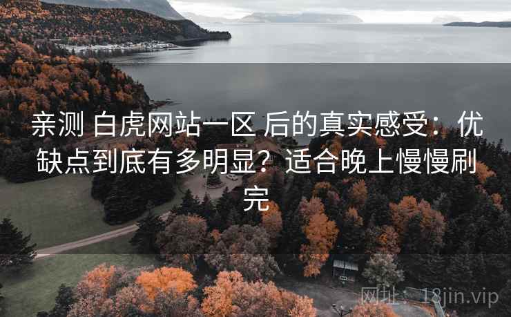 亲测 白虎网站一区 后的真实感受：优缺点到底有多明显？适合晚上慢慢刷完