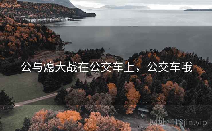 公与熄大战在公交车上，公交车哦