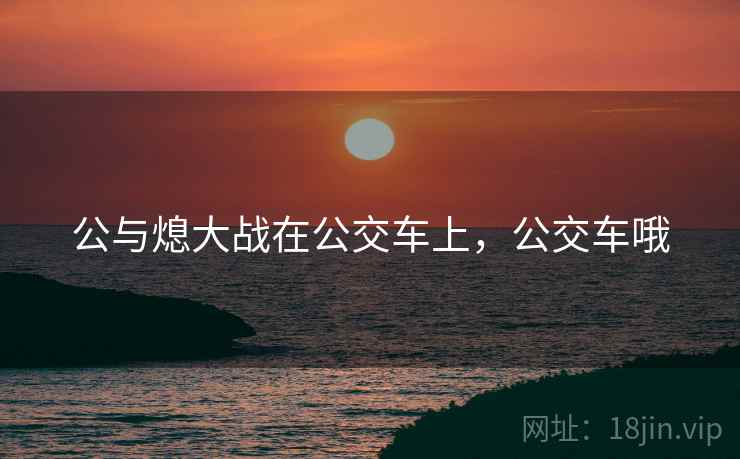 公与熄大战在公交车上，公交车哦