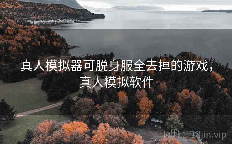 真人模拟器可脱身服全去掉的游戏，真人模拟软件