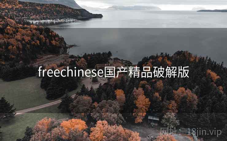 freechinese国产精品破解版